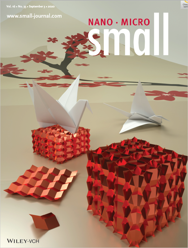 Cover_SmallJournal_2020_0.PNG